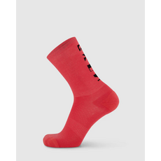 Atlas Merino Crew Sock-Watermelon