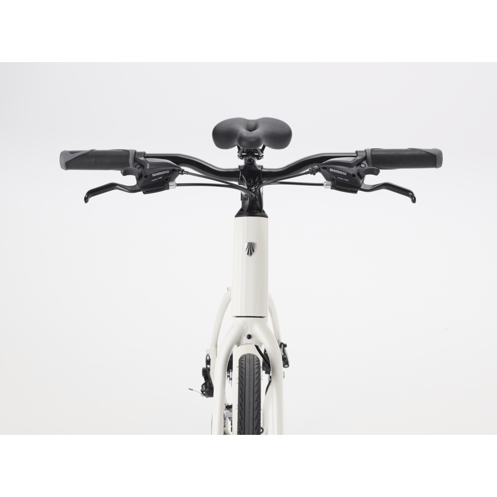 Trek FX 1 Stepover Gen 4, Era White (2026)