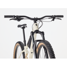 Trek Roscoe 7 Gen 4, Buff Beige (2026)