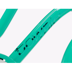 Electra Townie 7D EQ Step Thru Jade