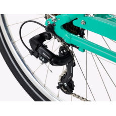 Electra Townie 7D EQ Step Thru Jade