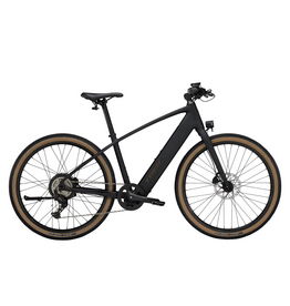 Trek FX+ 1, Dark Star