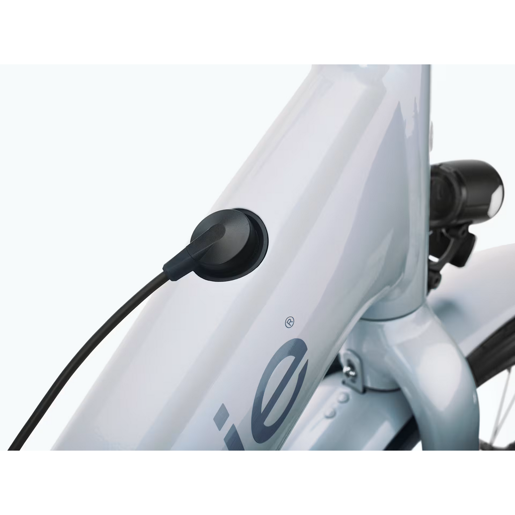 Electra Townie Go! Vapor