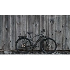 Devinci E-Milano HD Altus Graphite Blue