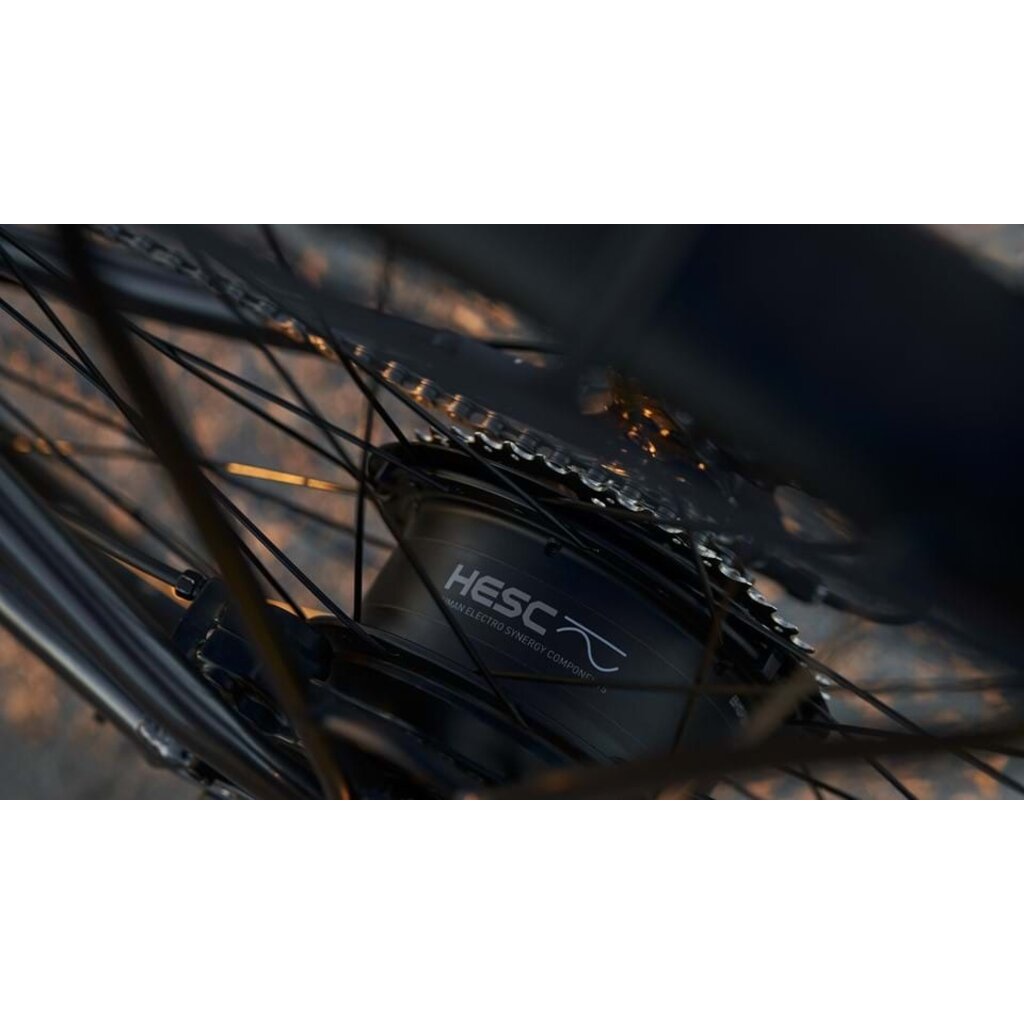 Devinci E-Milano HD Altus Graphite Blue