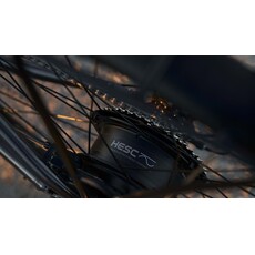 Devinci E-Milano HD Altus Graphite Blue