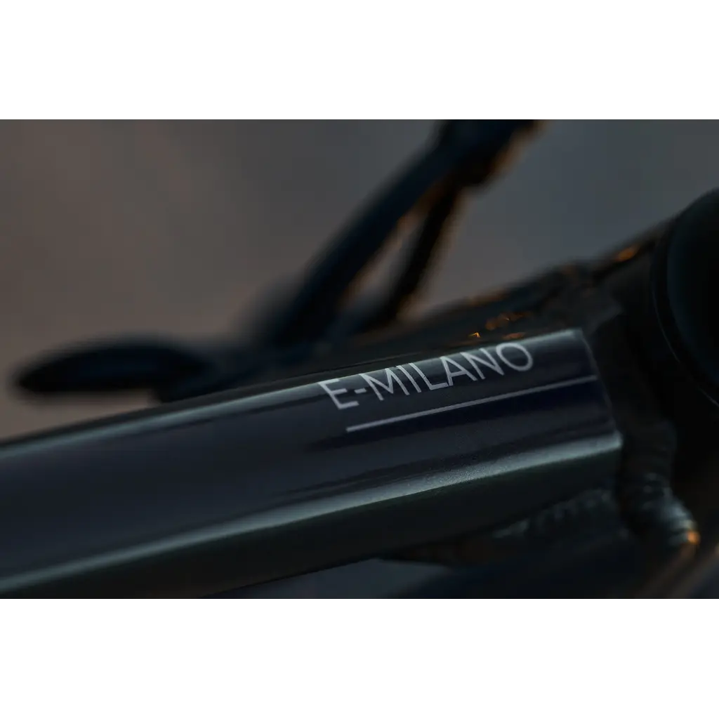 Devinci E-Milano HD Altus Graphite Blue