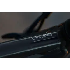 Devinci E-Milano HD Altus Graphite Blue