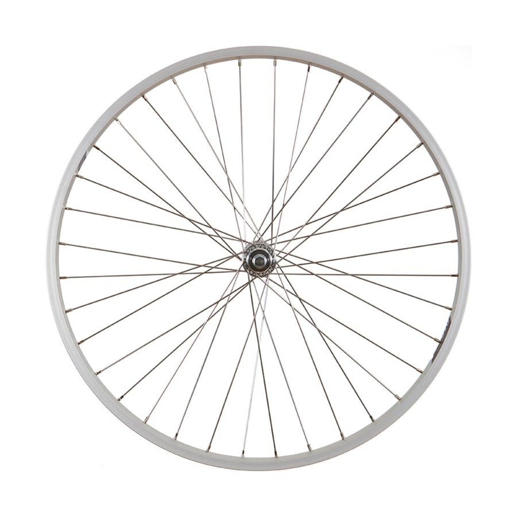 Evo Tour Rear Wheel, Alloy Rim, Silver 26''