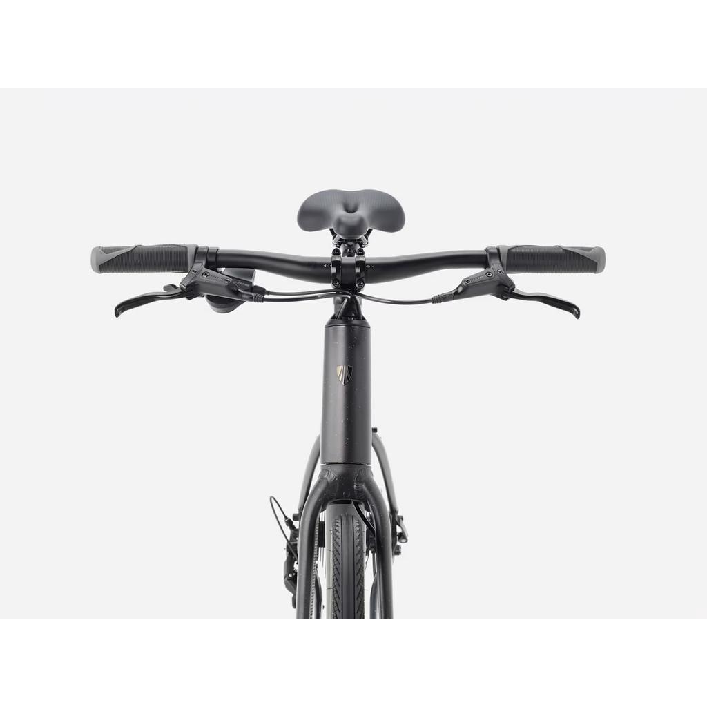 Trek FX Stepover Gen 4, Carbon Dark Grey