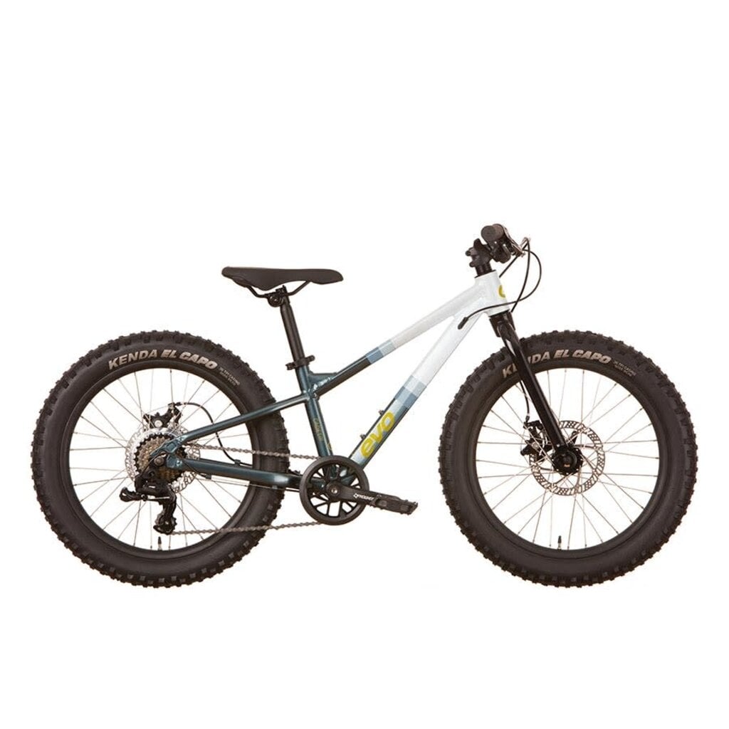 EVO Cadet 20" - Blue-White