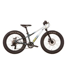 EVO Cadet 20" - Blue-White