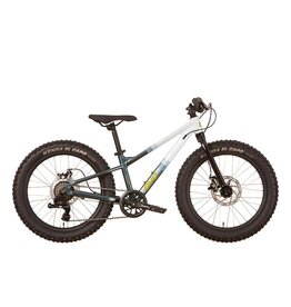 EVO Cadet 20" - Blue-White