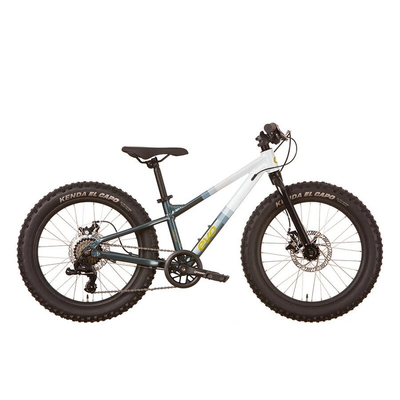 EVO Cadet 20" - Blue-White