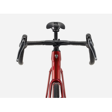 Trek Domane AL 2 Gen 4, Fury Red