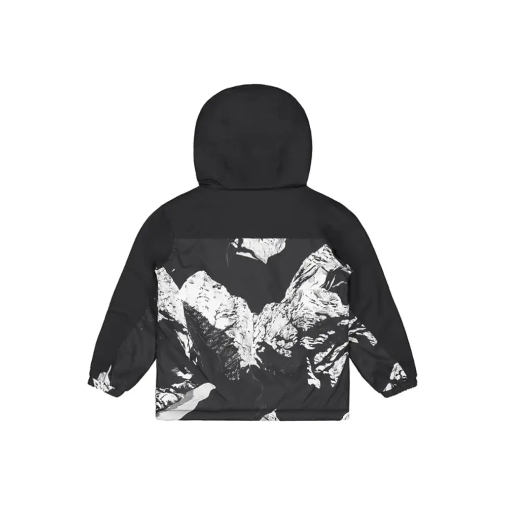 Picture Snowy Printed Toddler Jacket, Ridding Spot 2027