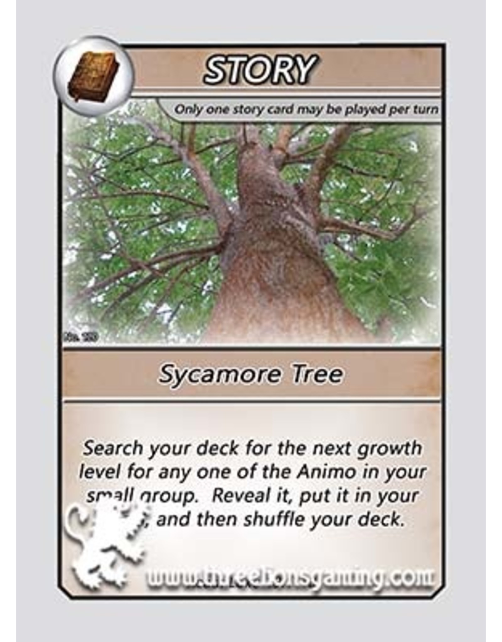S1: Sycamore Tree