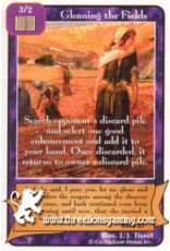 Pa: Gleaning the Fields