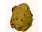 Pacman Pikachu Frog