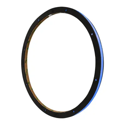 DS18 LRING12 DS18 RGB 12" SPK RING LED LIGHT