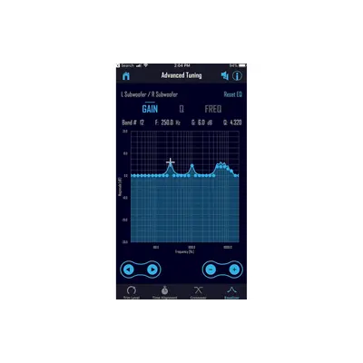 ROCKFORD FOSGATE DSR1 ROCKFORD/IDATA DSP INTERFACE