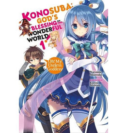 Konosuba God's Blessing  vol. 1 Light Novel