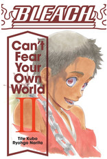 Bleach Can't Fear Your Own World II Light Novel