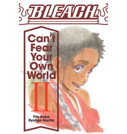 Bleach Can't Fear Your Own World II Light Novel