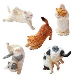 Animal Life Baby Yoga Cat