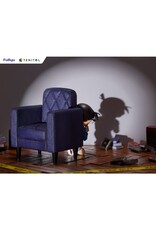 Conan Edogawa Tenitol Figure