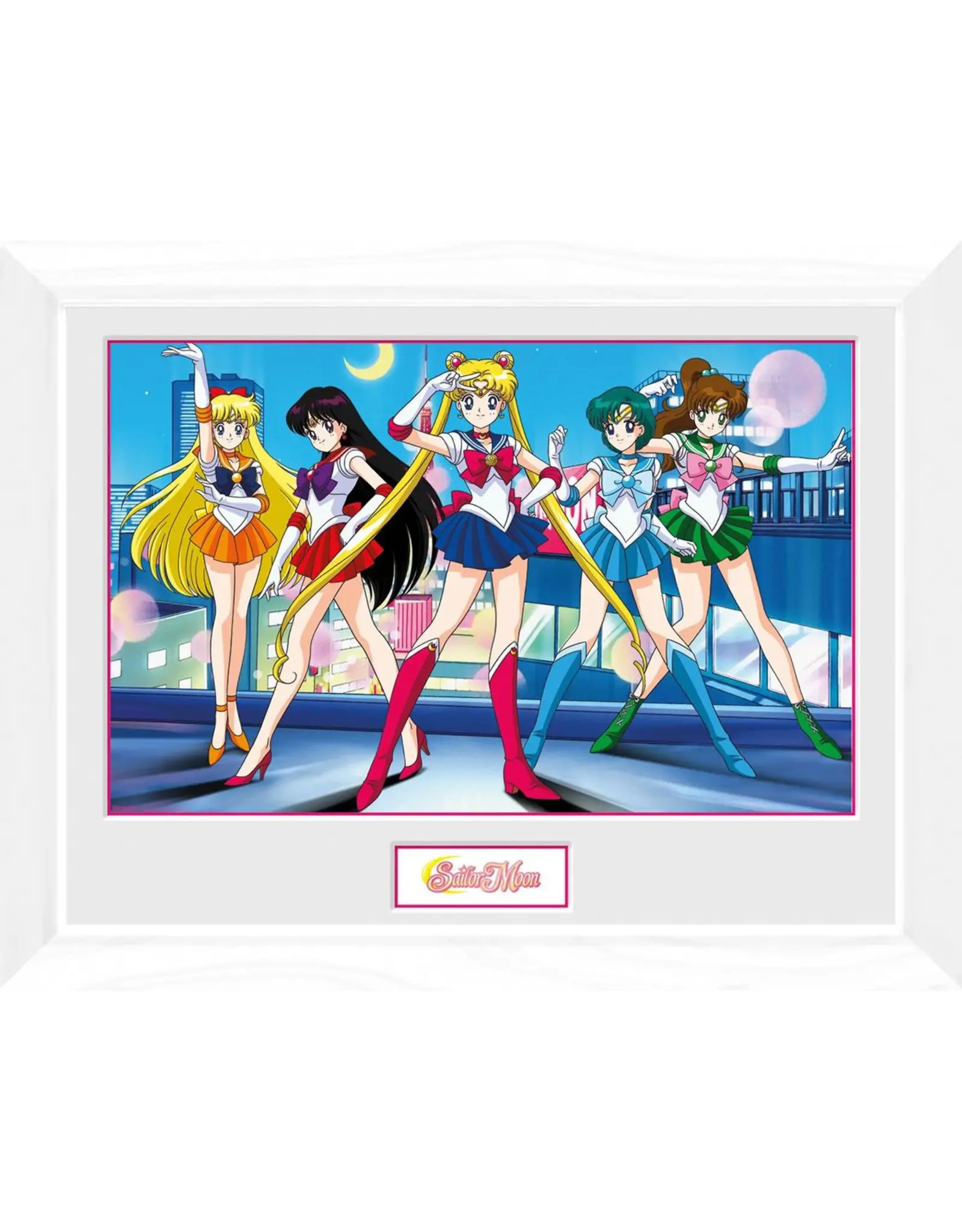 Sailor Moon Group Framed Photo 12x16