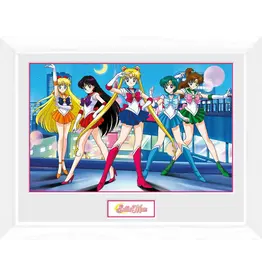 Sailor Moon Group Framed Photo