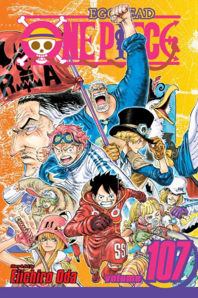 One Piece Vol. 107 manga - Black Knight Anime