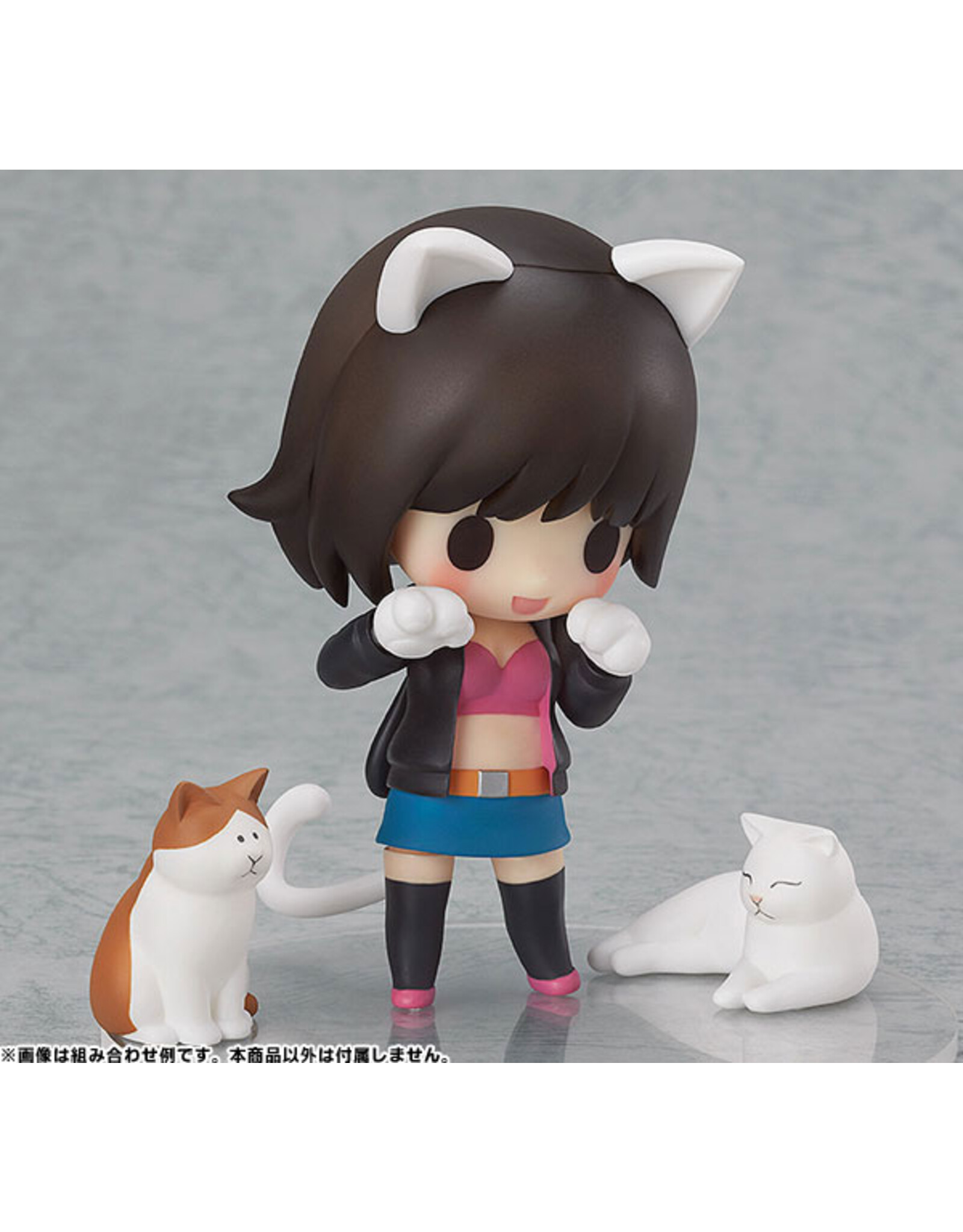 Nendoroid After Parts 02