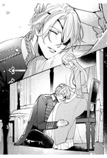 Loyal Soldier Lustful Beast Light Novel