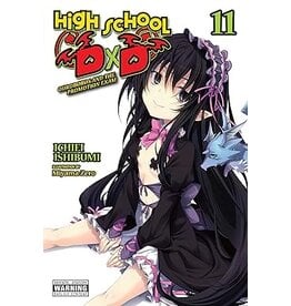Seven Seas Entertainment High School Dx D Vol. 11 Light Novel