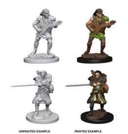 Wizkids WZK72632 Human Male Bard