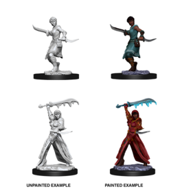 Wizkids WZK73831 Female Human Rogue