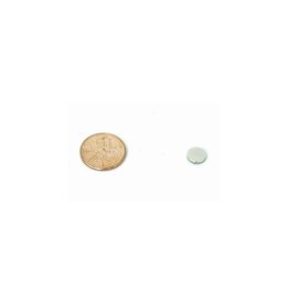 Magnet Baron 5/16x1/16 Disc Magnet 50 pcs