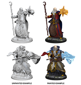 Wizkids WZK72618 Human Male Wizard