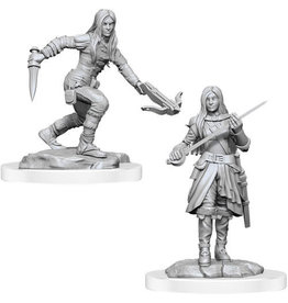 Wizkids WZK90485 Half-elf Rogue Female