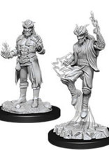 Wizkids WZK90058 Tiefling Sorceror