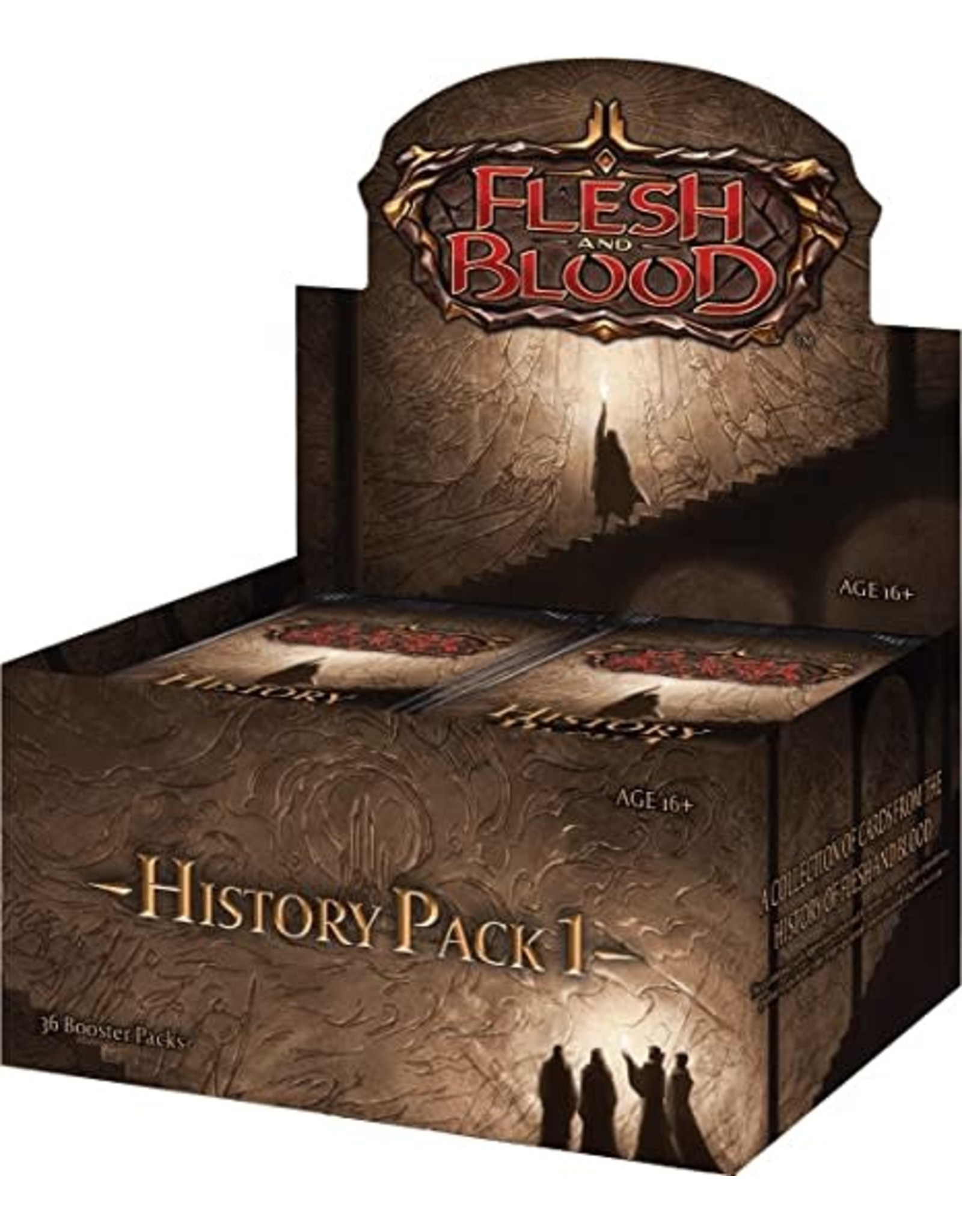 Legend Story Studios Flesh and Blood TCG: History Display