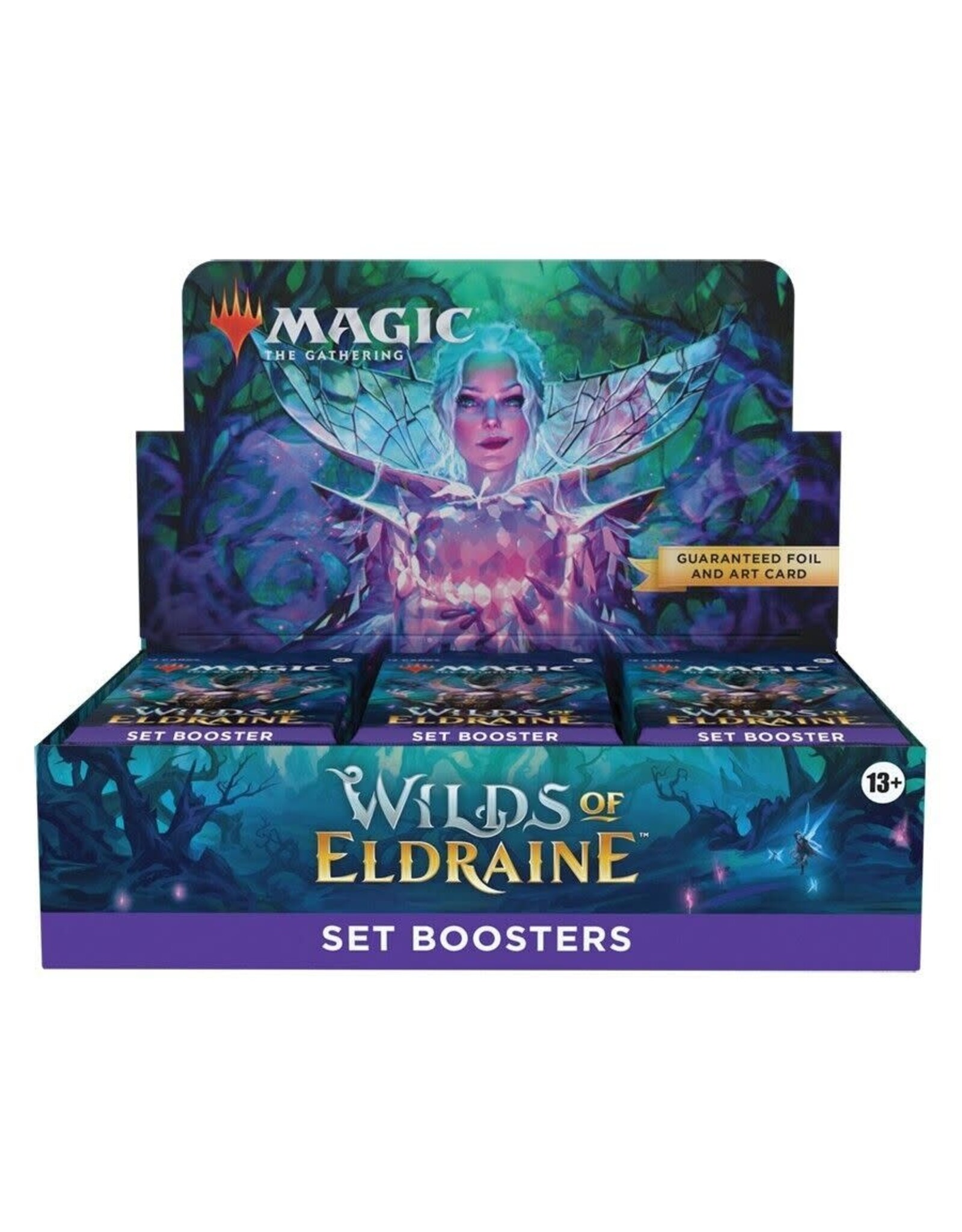 Wizards of the Coast Wilds of Eldraine Set DISPLAY