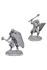 Wizkids WZK90522 Dragonborn Clerics