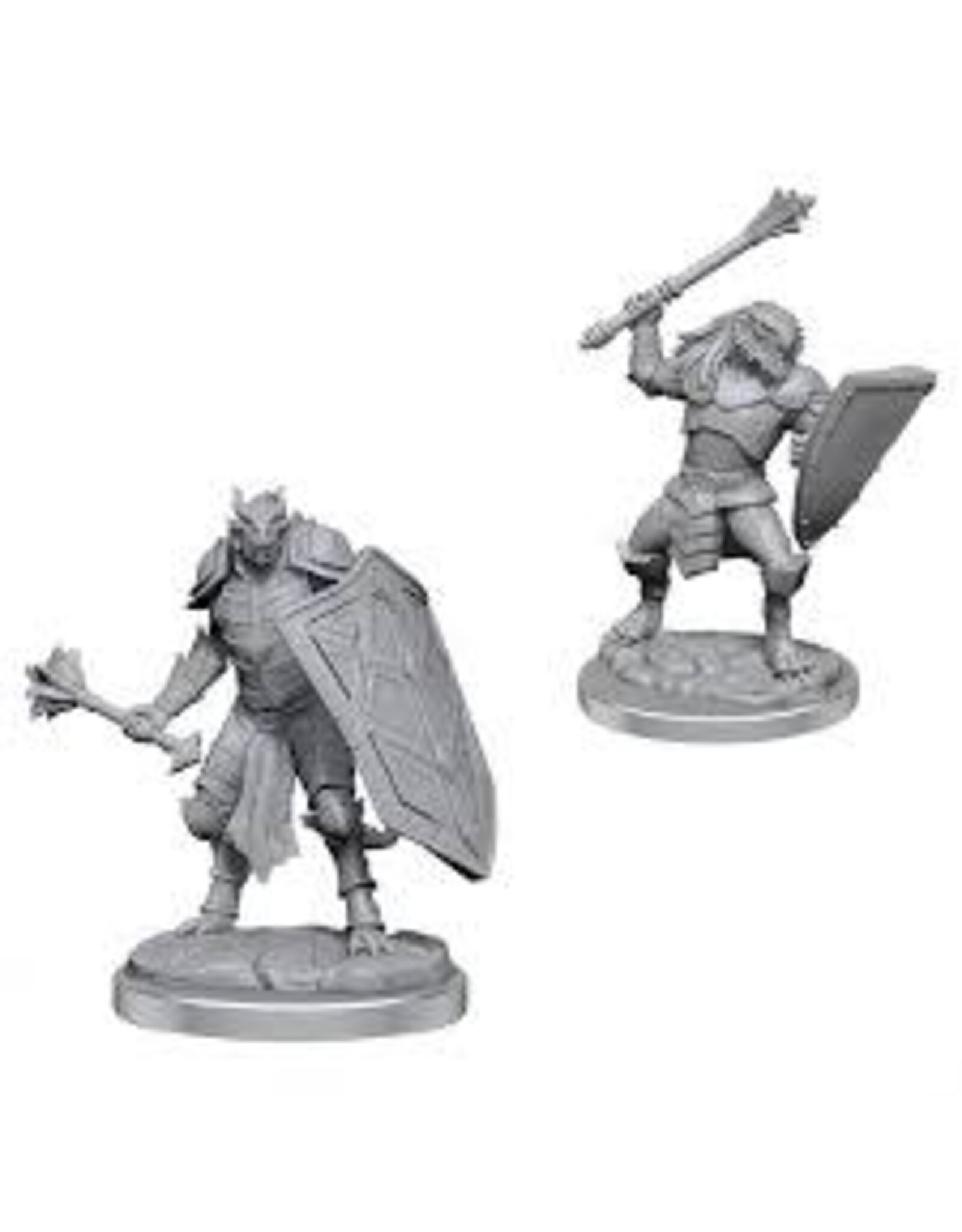 Wizkids WZK90522 Dragonborn Clerics