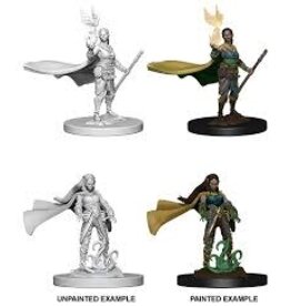 Wizkids WZK72642 Elf Female Druid