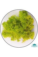 Geek Games Scenics Lichen- Apple Green