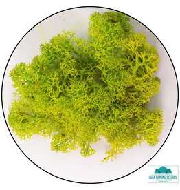 Geek Games Scenics Lichen- Apple Green