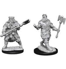 Wizkids WZK90224 Human Barbarian Male